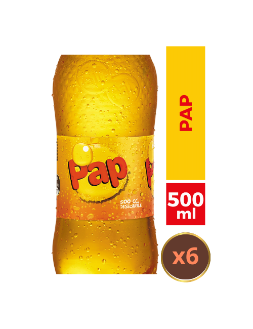 BEBIDA PAP X6 500ML