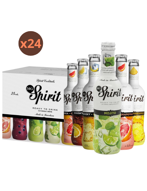 SPIRIT 275 ML Variedades X24