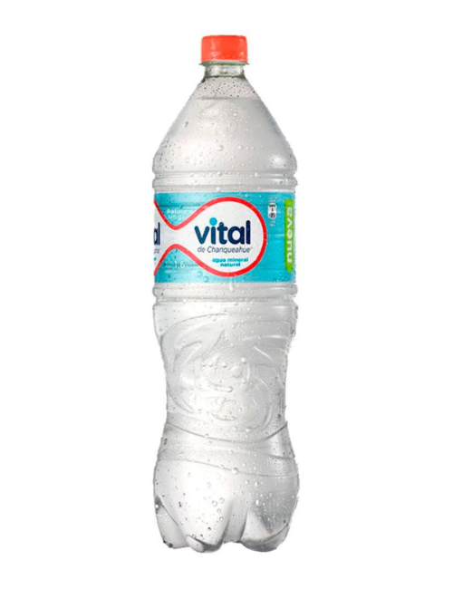 VITAL SIN GAS 1,6L