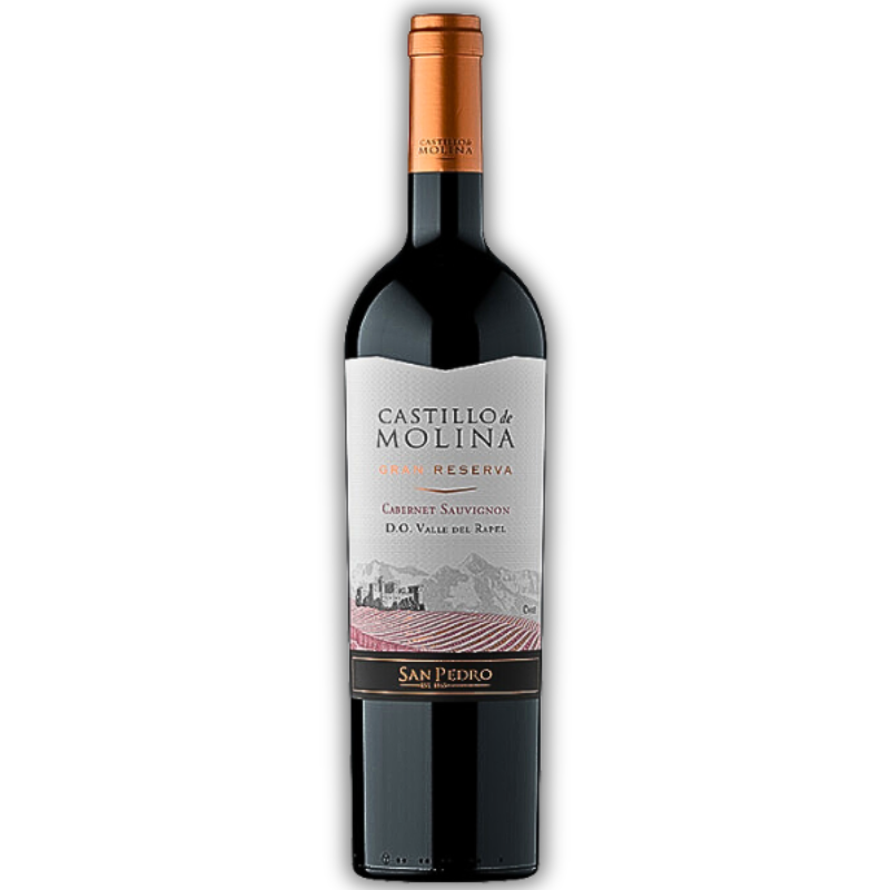 CASTILLO MOLINA GRAN RESERVA 750ML CABERNET