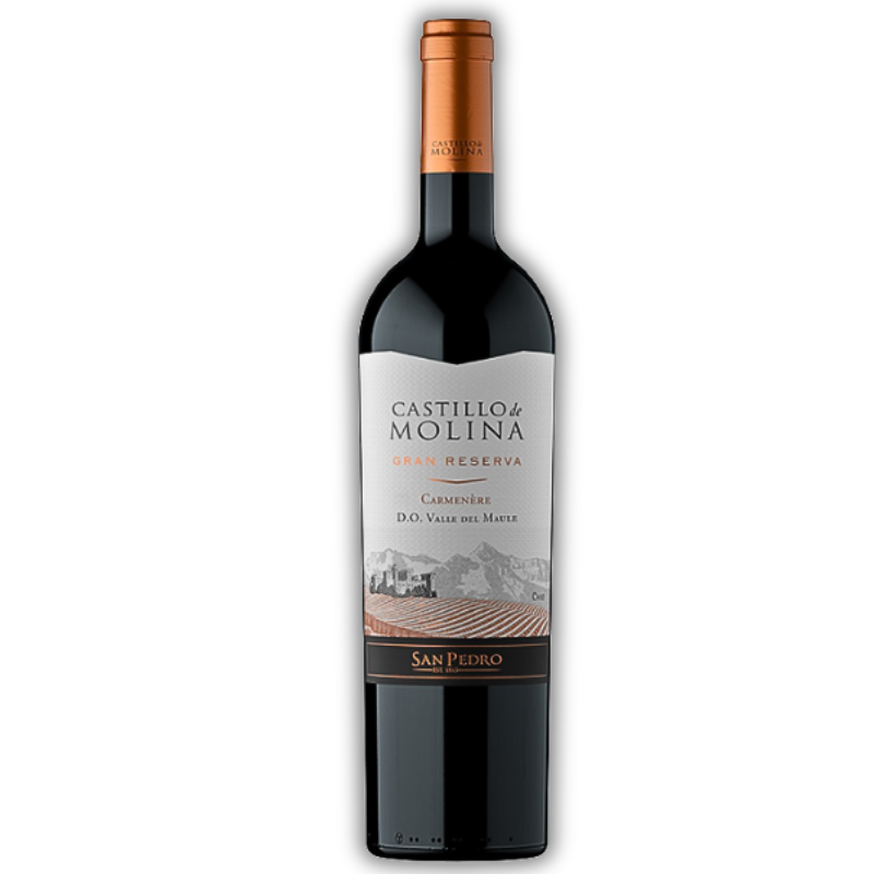 CASTILLO MOLINA GRAN RESERVA 750ML CARMENERE