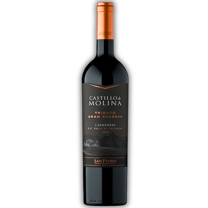 CASTILLO MOLINA TRIBUTO CARMENERE 750ML