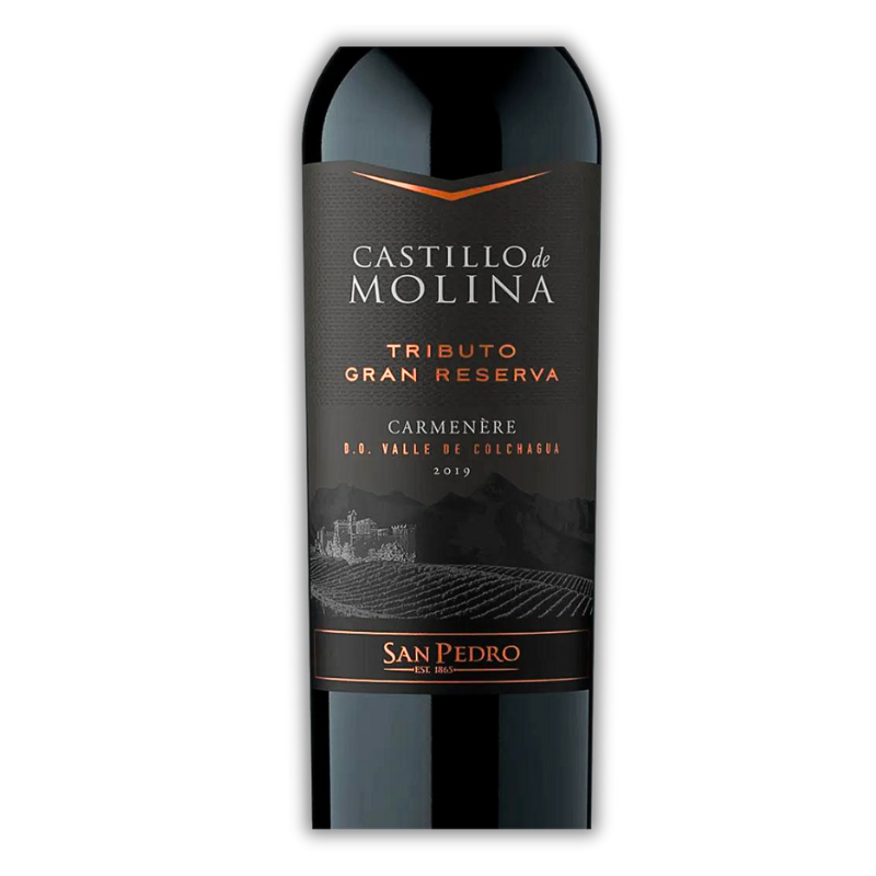 CASTILLO MOLINA TRIBUTO CARMENERE 750ML